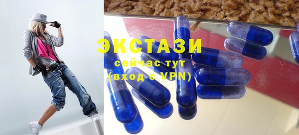 стафф Бородино