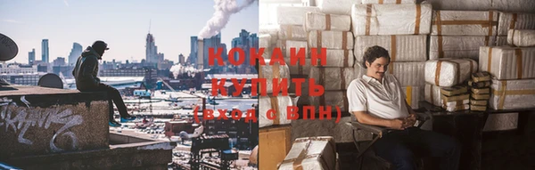 стафф Бородино