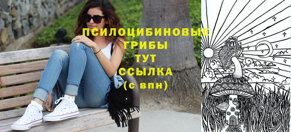 стафф Бородино