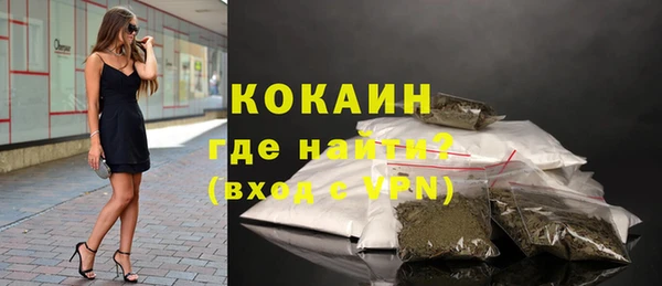 стафф Бородино