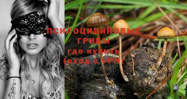 стафф Бородино