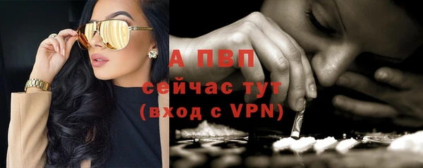 стафф Бородино