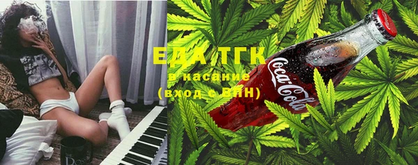 стафф Бородино