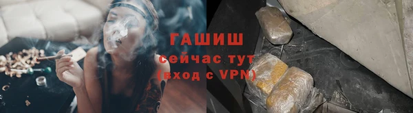 стафф Бородино