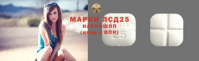 стафф Бородино