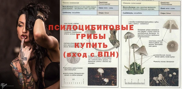 стафф Бородино